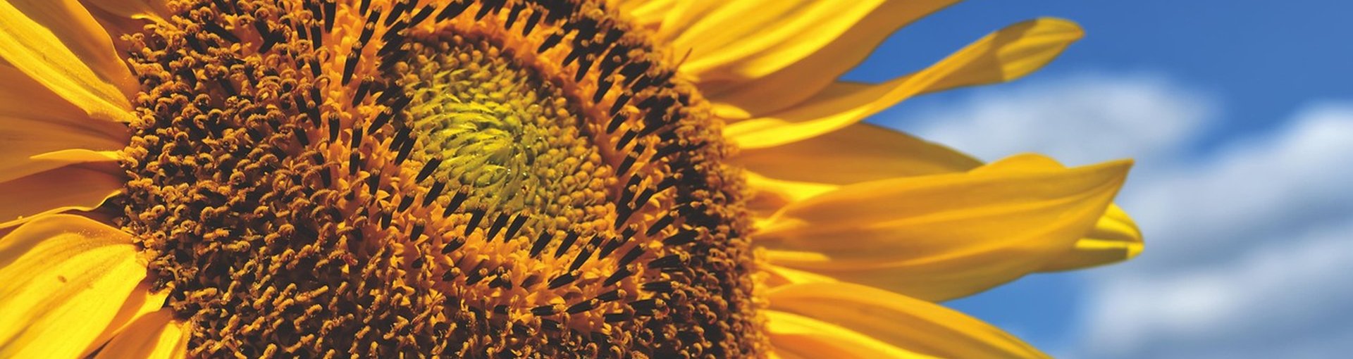 Futurelife-home2-slideshow